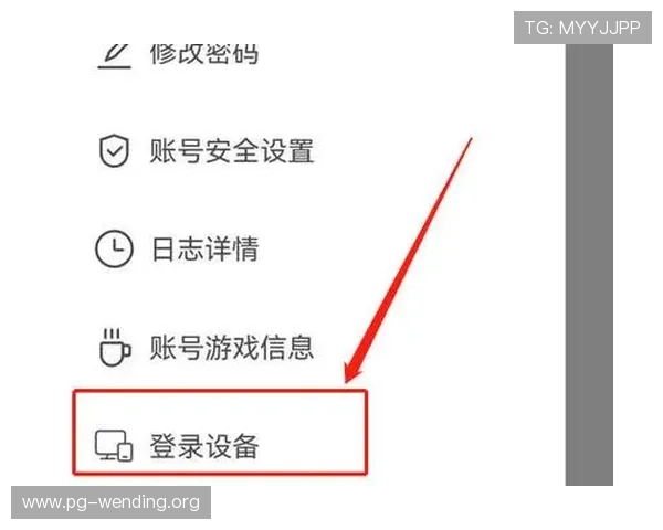 问鼎官网注册登录入口安全保障措施及账号保护技巧分享