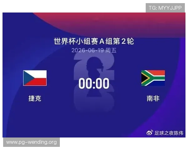 捷克对南非世界杯比赛中的关键战术调整与赛后分析报告